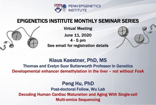 Virtual Epigenetics Monthly Seminar Series