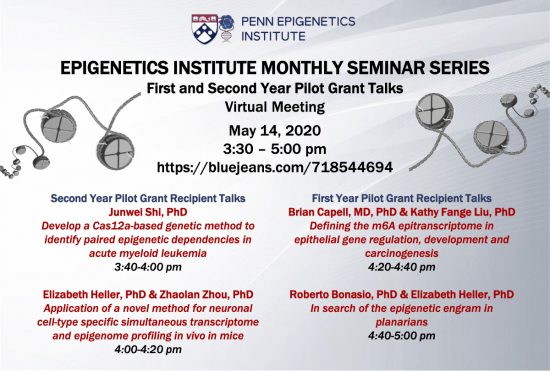 Virtual Epigenetics Monthly Seminar Series