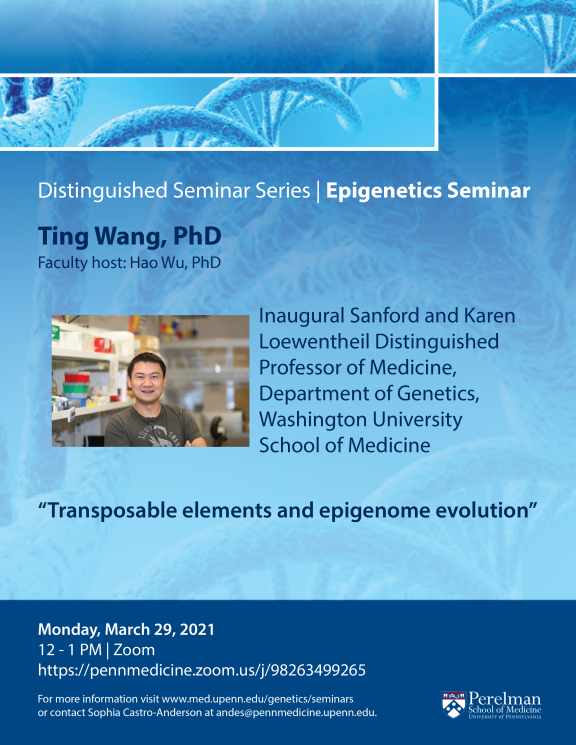 Distinguished Seminar Series