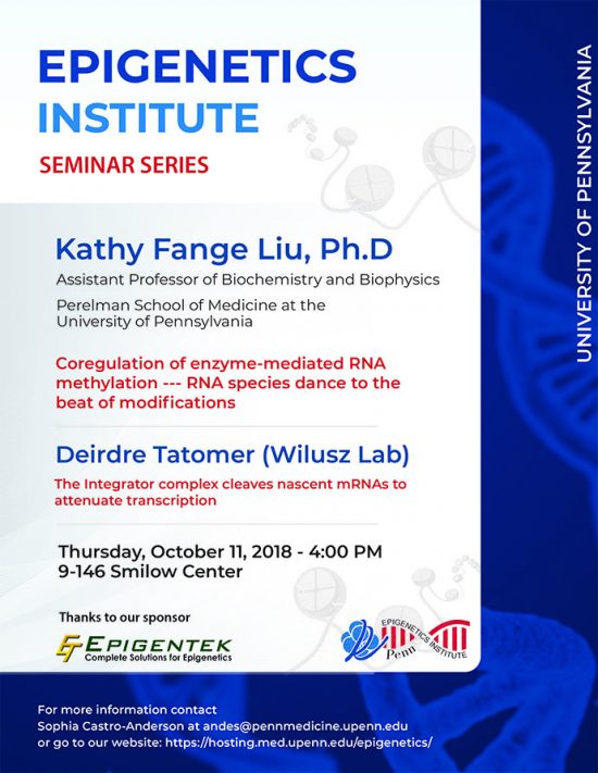 Kathy Liu, Ph.D. – Epigenetics Monthly Seminar Series