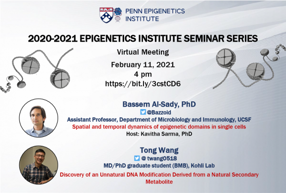Bassem Al-Sady, Ph.D. & Tong Wang (Kohli Lab) – Virtual Epigenetics Monthly Seminar Series