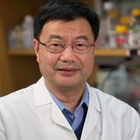 Xianxin Hua, M.D., Ph.D.
