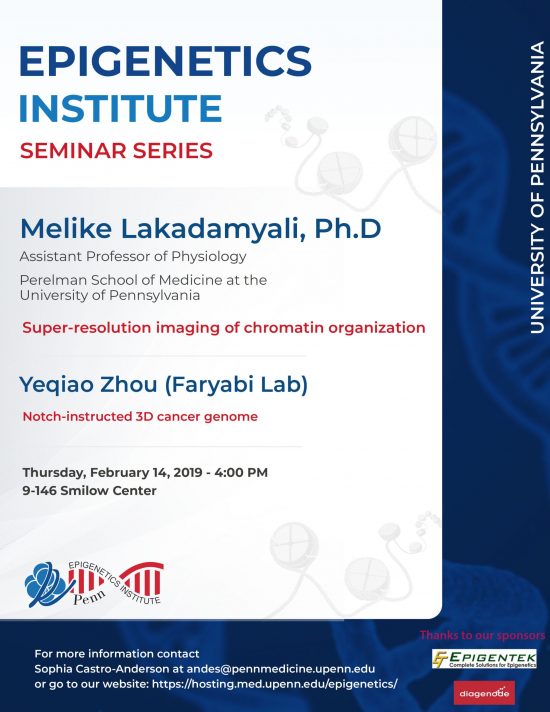 Melike Lakadamyali, Ph.D. – Epigenetics Monthly Seminar Series