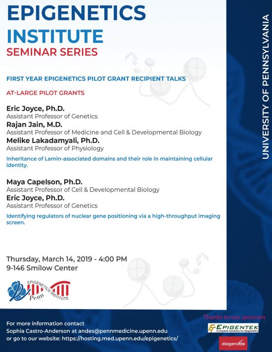 First Year Pilot Grant Talks – Epigenetics Monthly Seminar Series
