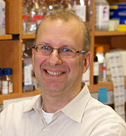 Douglas J. Epstein, Ph.D.