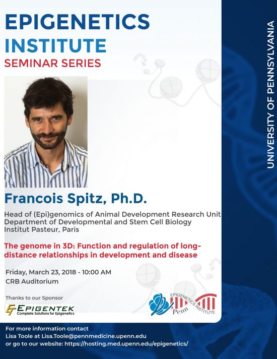 Francois Spitz, Ph.D. – Epigenetics Monthly Seminar Series