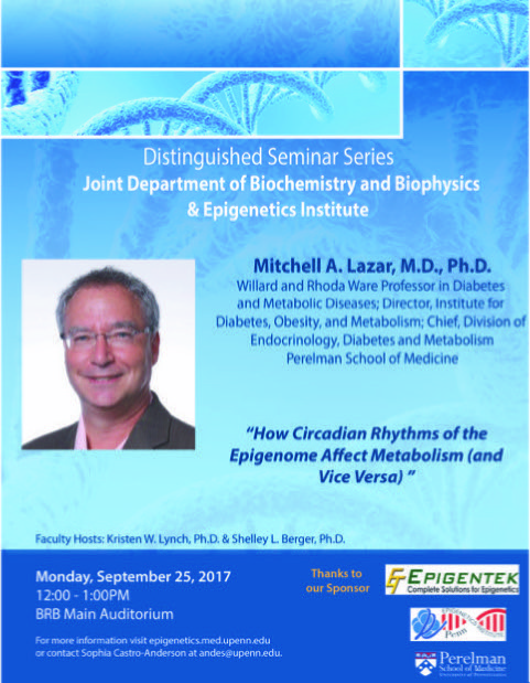 "How Circadian Rhythms of the Epigenome Affect Metabolism (and Vice Versa)”
