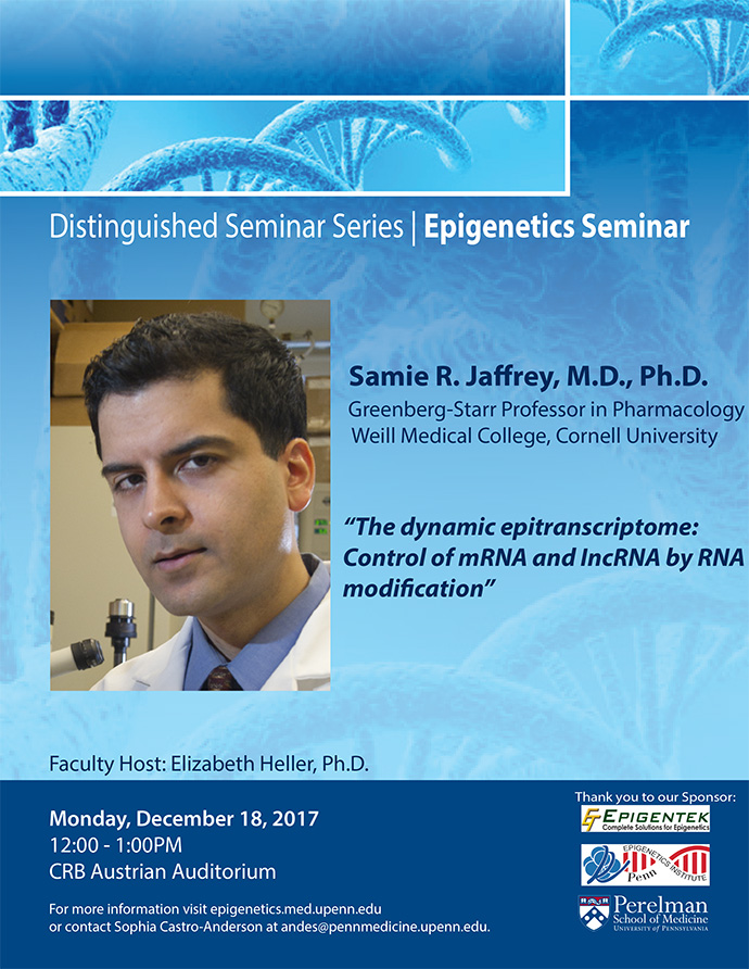 The dynamic epitranscriptome: Control of mRNA and IncRNA by RNA modification