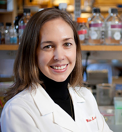 Kathryn E. Wellen, Ph.D. selected for AACR Award for Outstanding Achievement in Basic Cancer Research