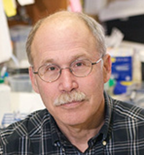 Stephen A. Liebhaber, M.D.