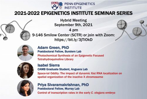 Trainee Talks – Hybrid Epigenetics Monthly Seminar Series