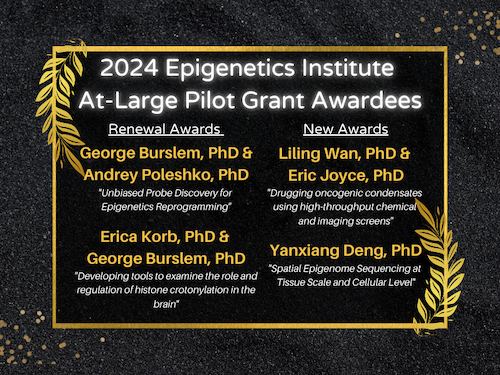 Congratulations to our 2024 Epigenetics Institute At-Large Pilot Grant Awardees!
