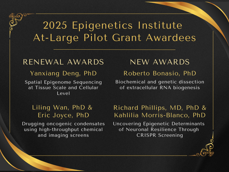 Congratulations to our 2025 Epigenetics Institute At-Large Pilot Grant Awardees!