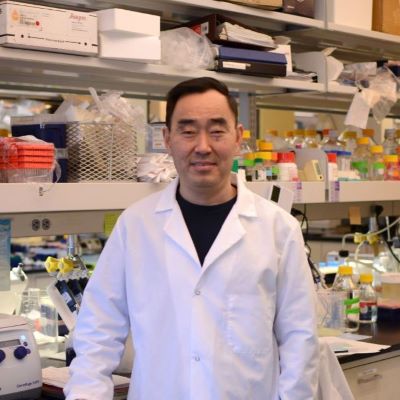 Penn Researchers Receive Nearly $6 Million in Renewed Funding to Study Epigenetics of Reproduction