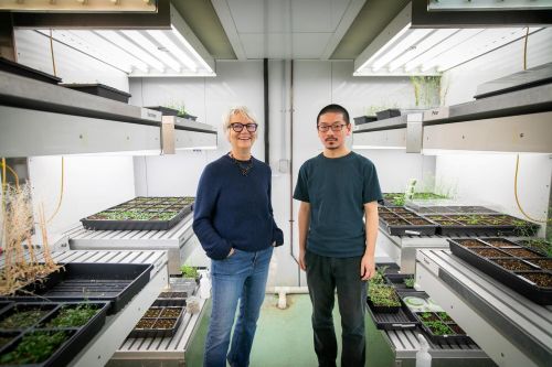 Wagner Lab featured in Penn Today
